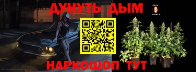 сатива Гусев