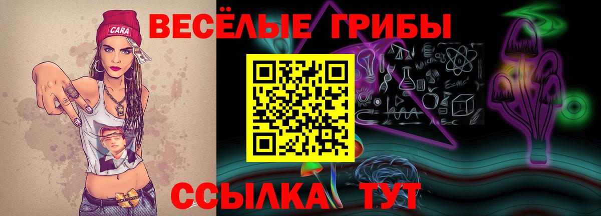 Псилоцибиновые грибы Psilocybe Маркс